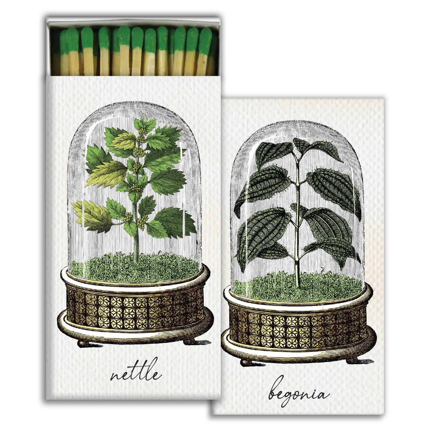Plant Cloche Safety Matches