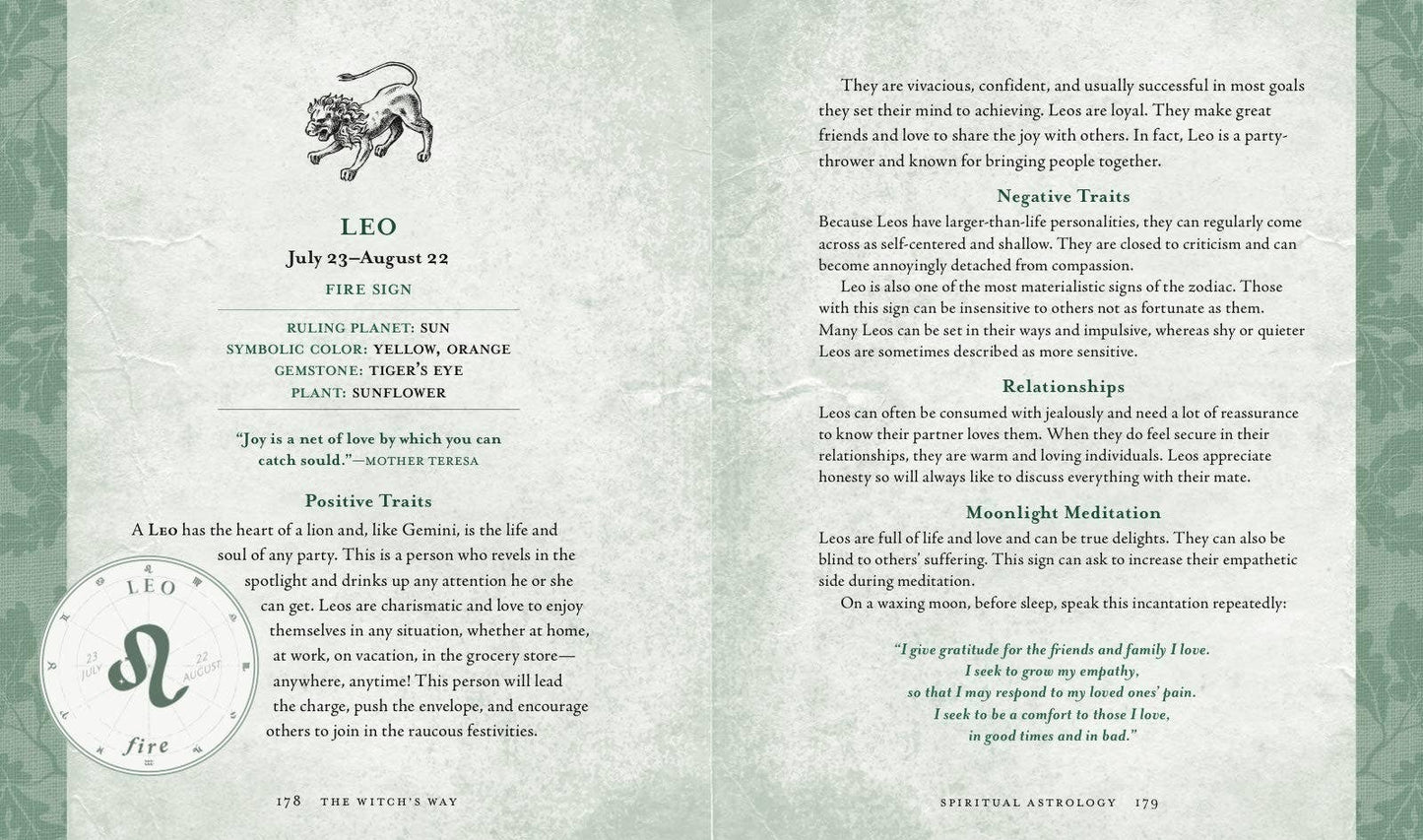 The Witch's Way by Shawn Robbins (Hardcover)