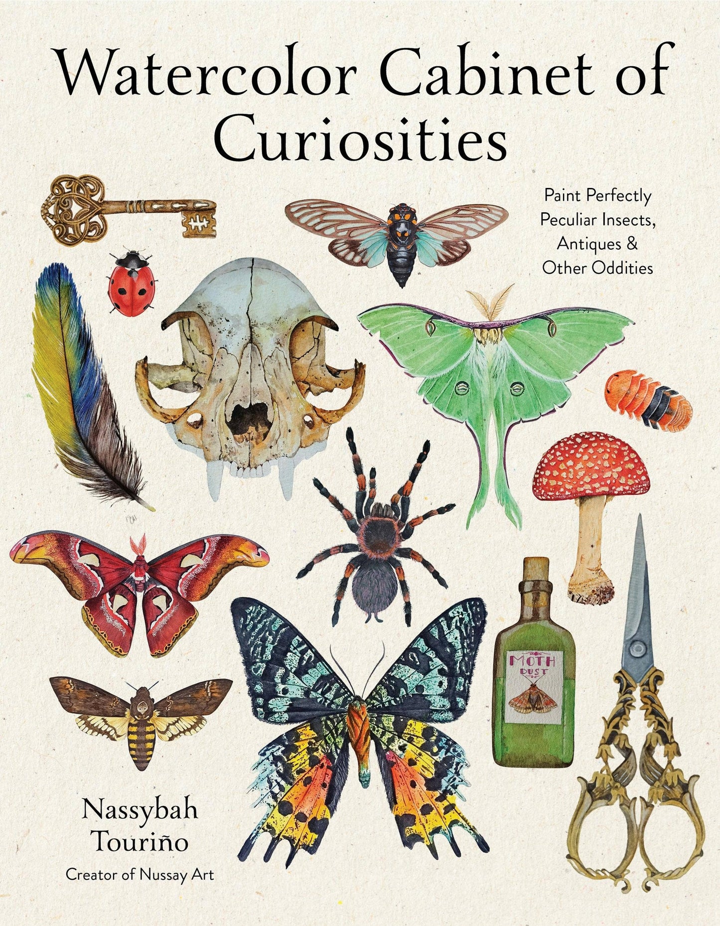 Watercolor Cabinet Of Curiosities by Nassybah Touriño (Paperback)
