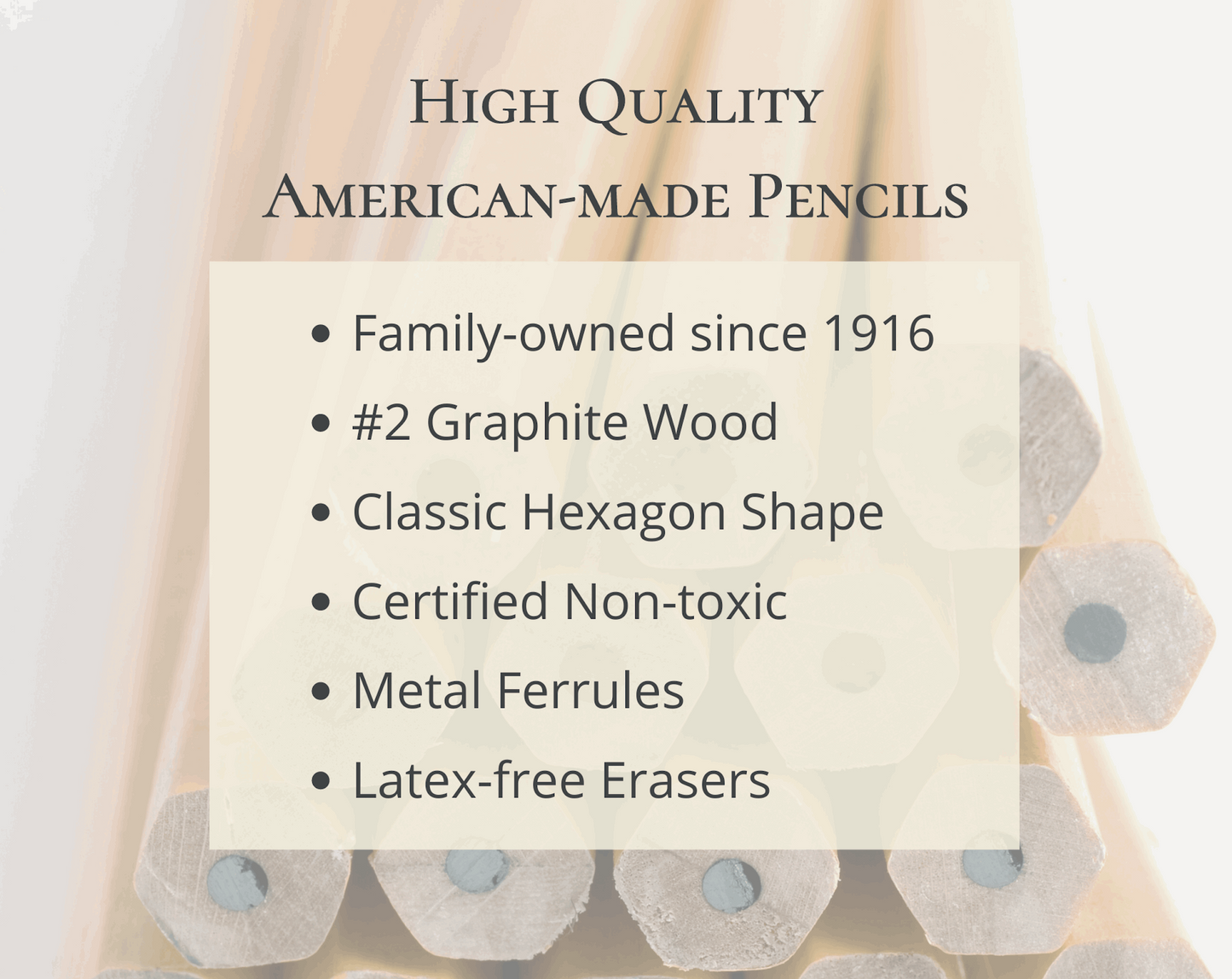 Banned Books 19th Century Pencil Set
