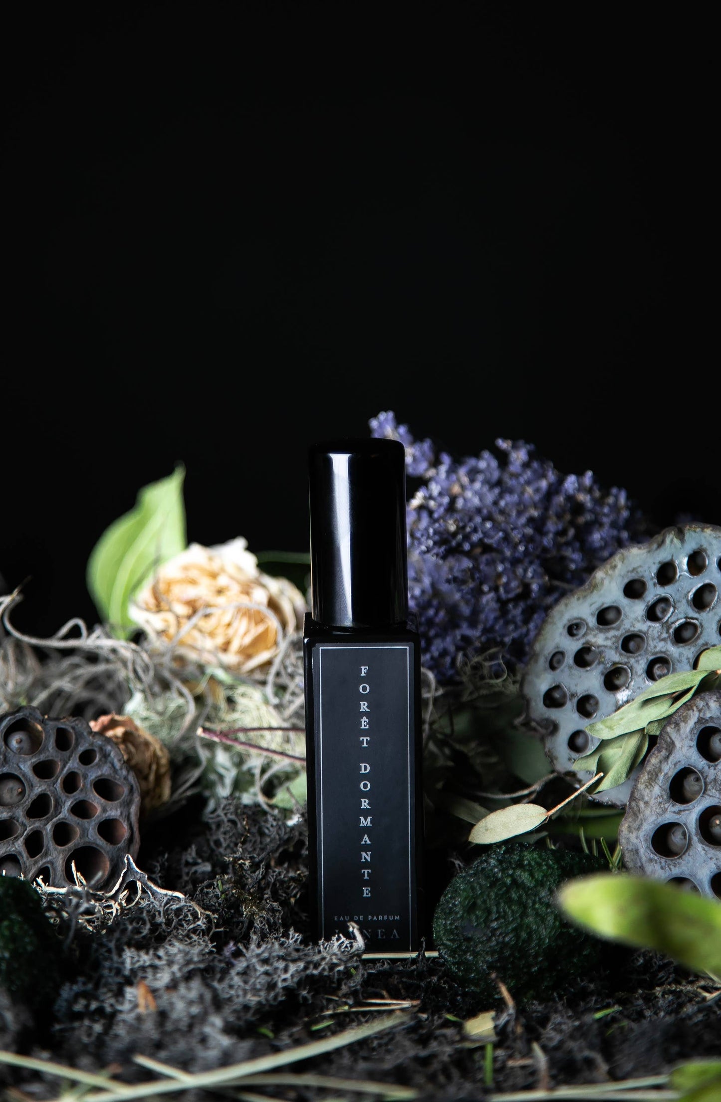 FORÊT DORMANTE 8ml Eau de Parfum | Piñon, lavender, cypress