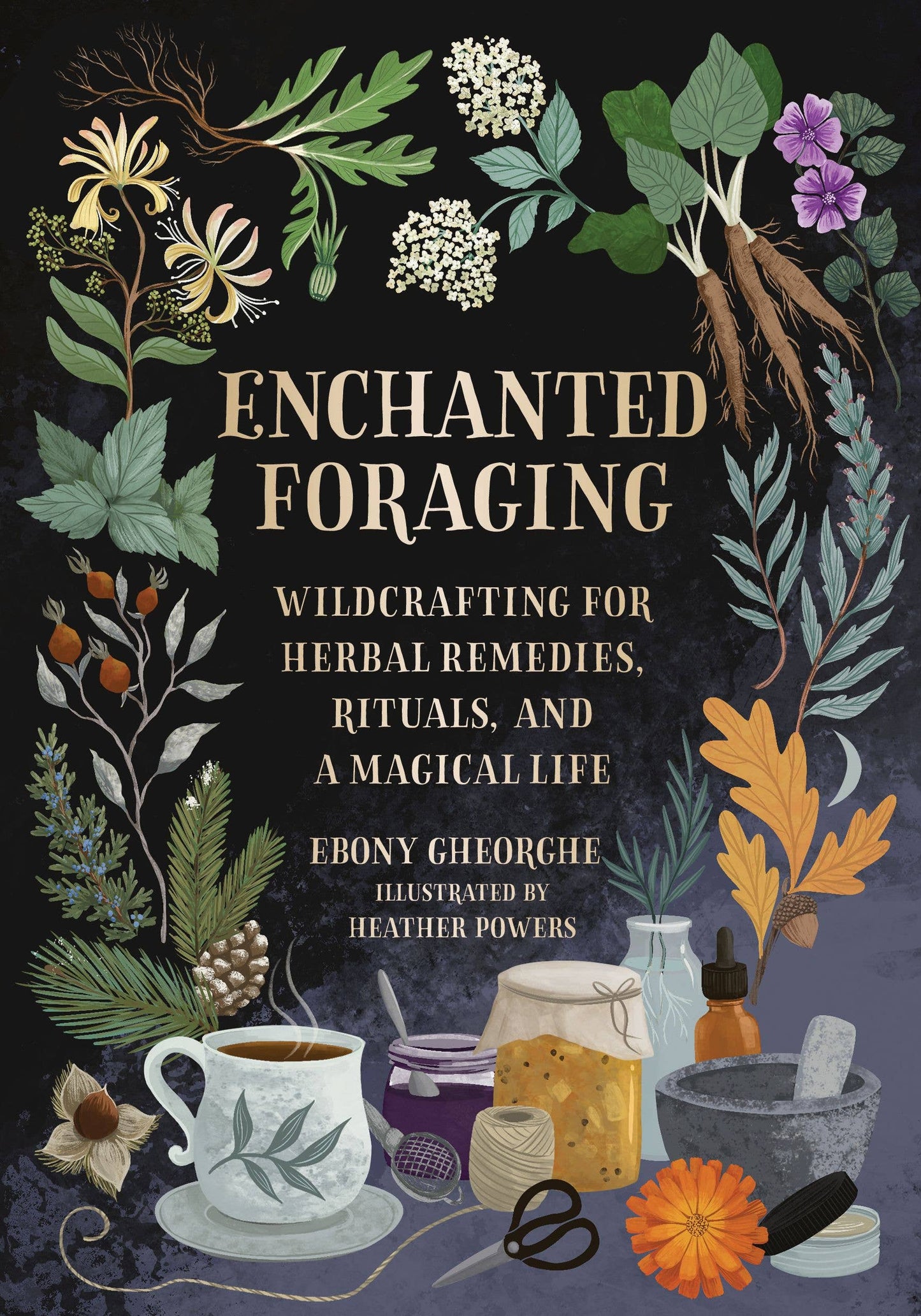 Enchanted Foraging by Ebony Gheorghe (Hardcover)