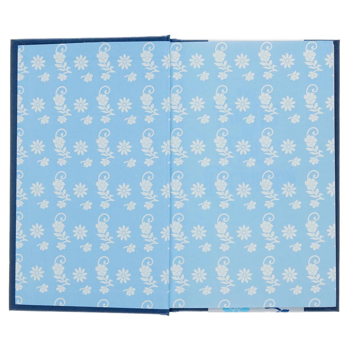 Poetry Of Emily Dickinson (Arcturus Ornate Classics)