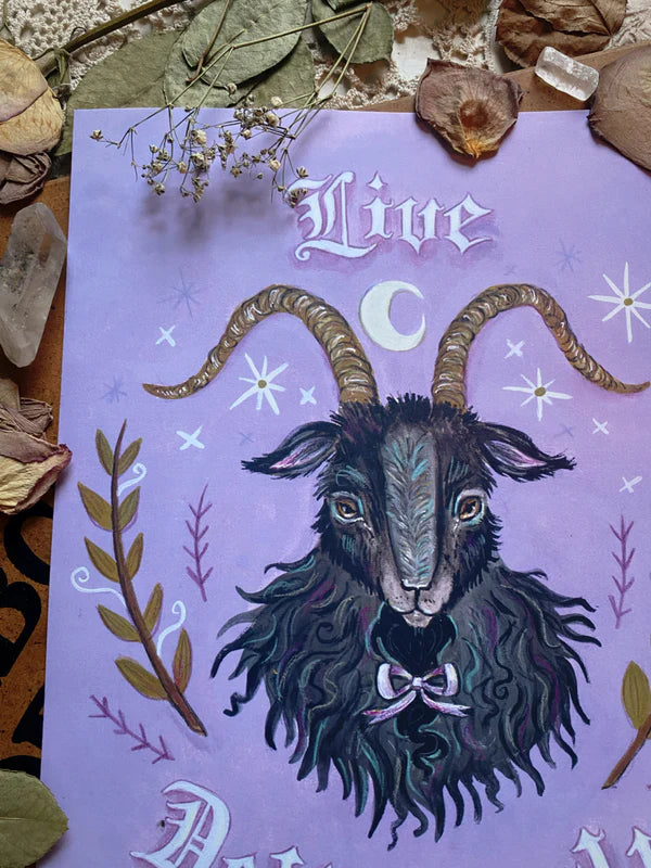 Black Phillip "Live Deliciously" 8.5x11 Art Print by Olivia Faust