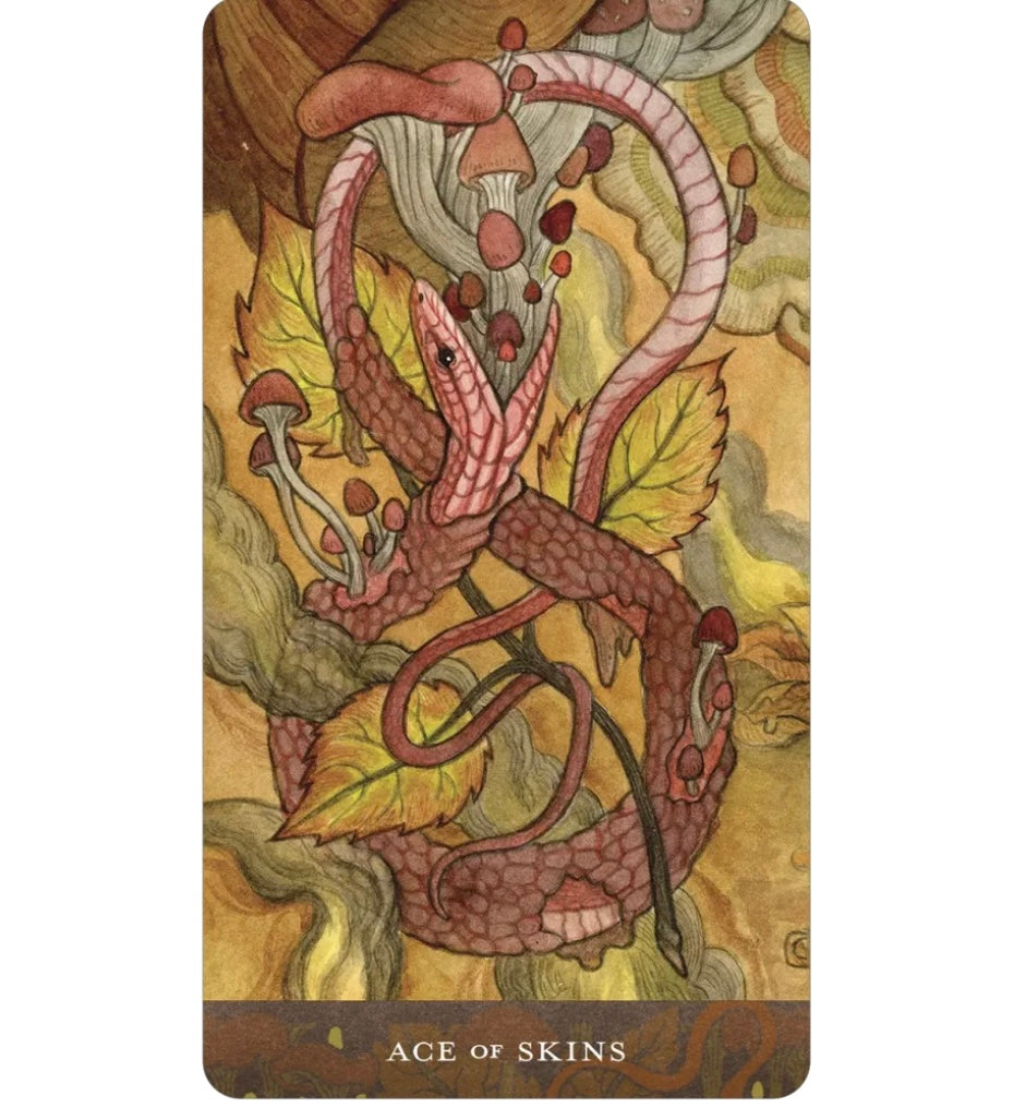 Blood Moon Tarot by Sam Guay