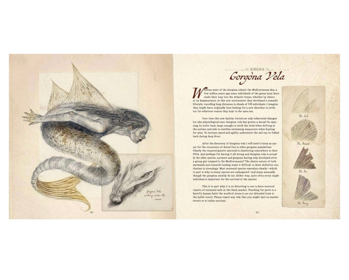 Dr. C. Lillefisk’s Sirenology by Jana Heidersdorf (Hardcover)