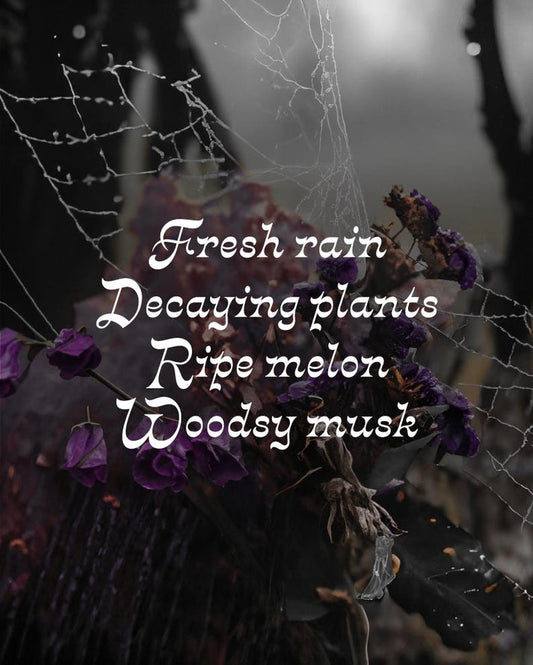 Decay Dreaming Magic Mist ~ (Rain & Musk) by Graveyard Wanders
