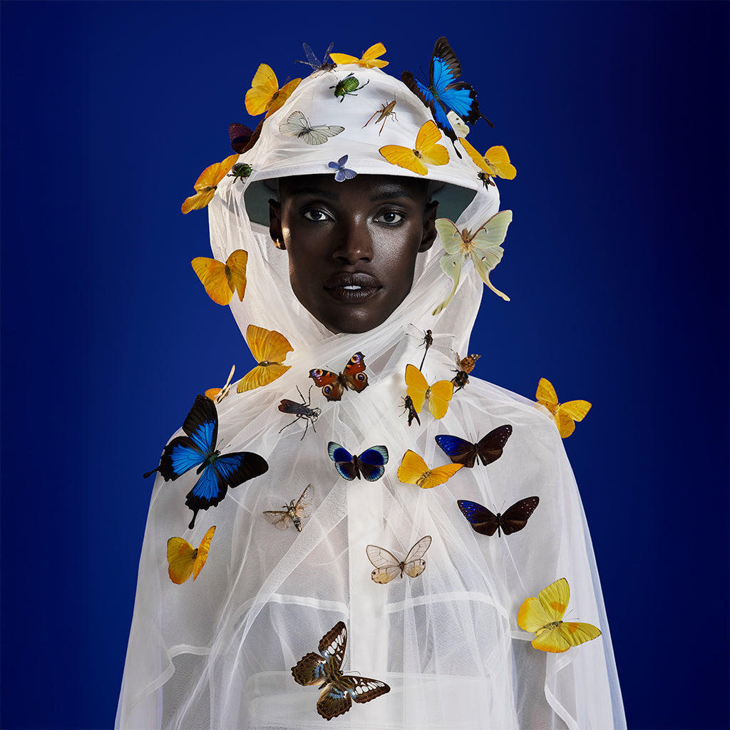 The Entomologist Candle Set