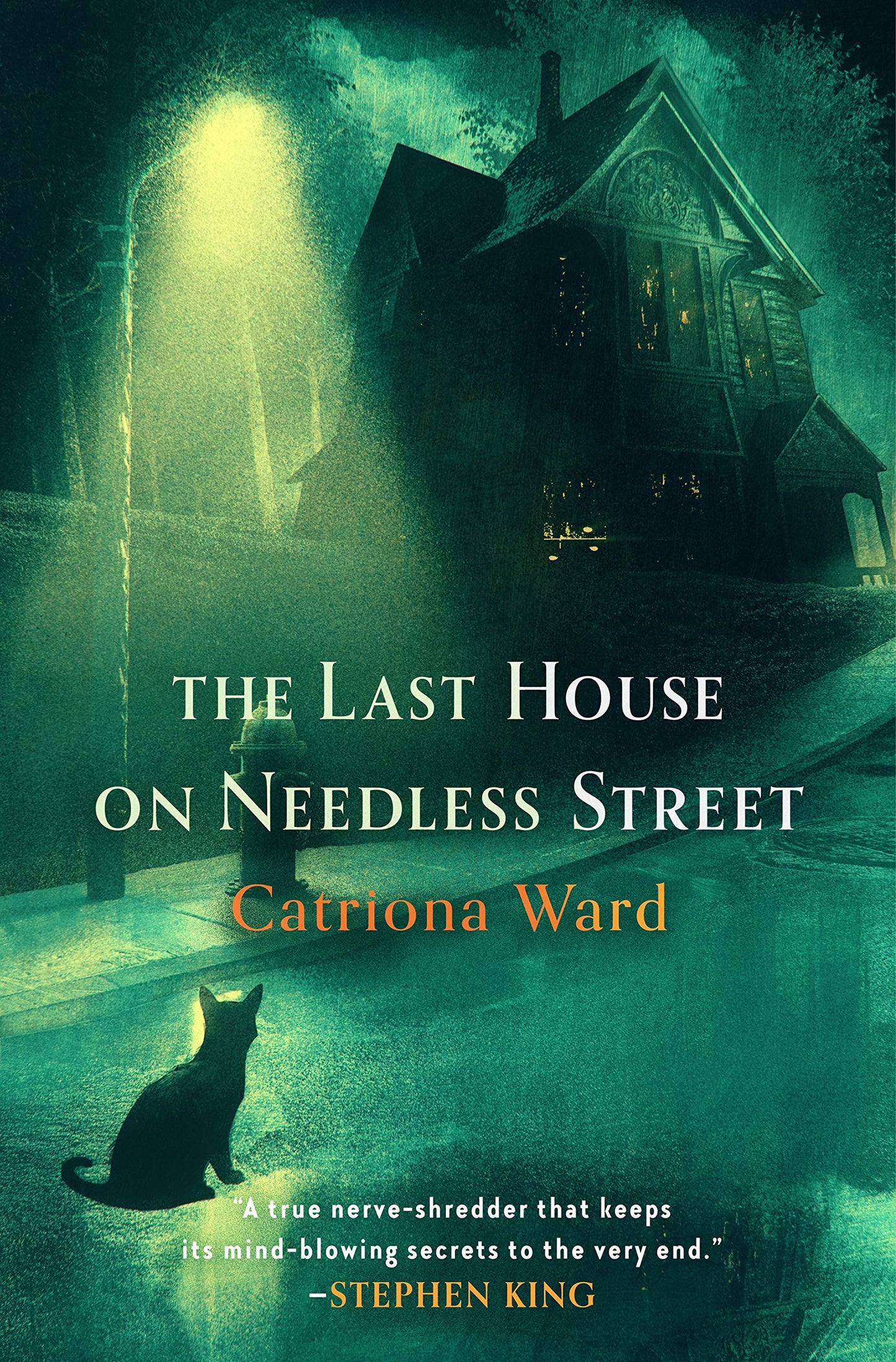 The Last House on Needless Street by Catriona Ward (Softcover)