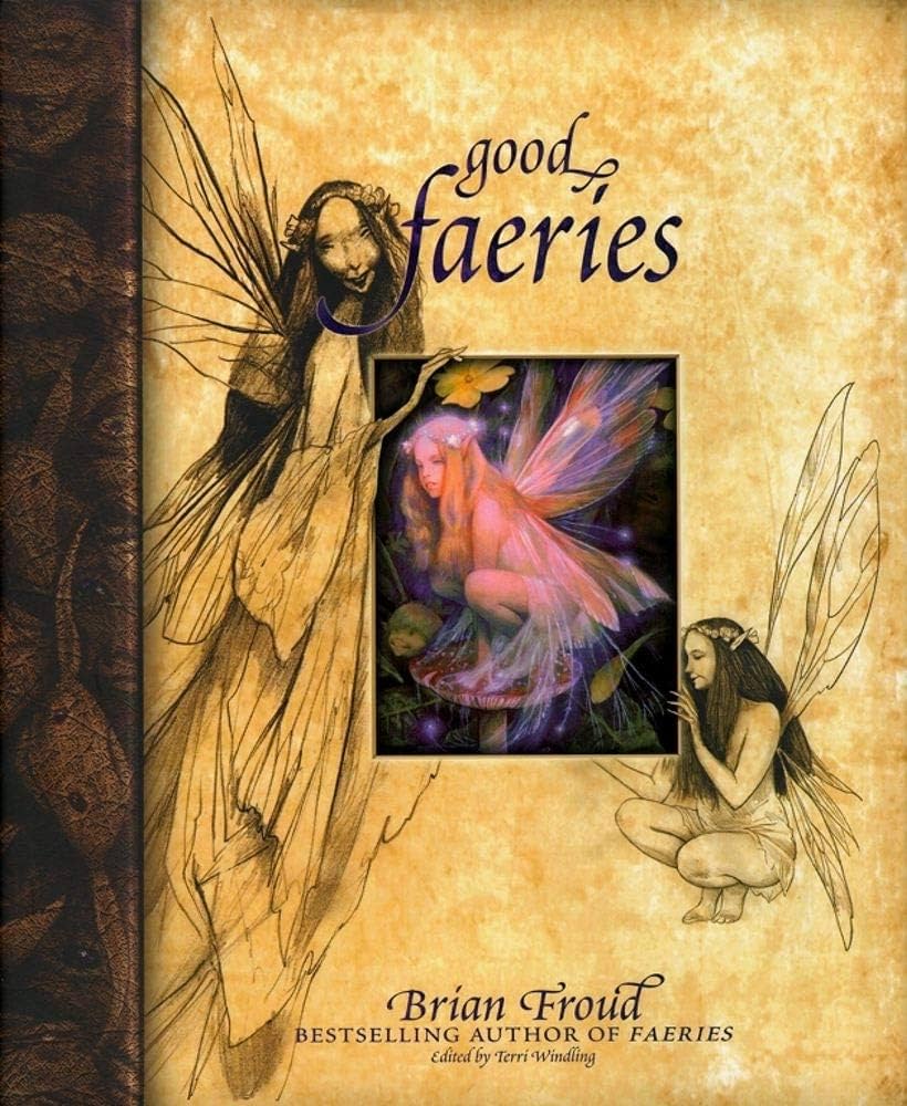 Good Faeries, Bad Faeries by Brian Froud (Hardcover)