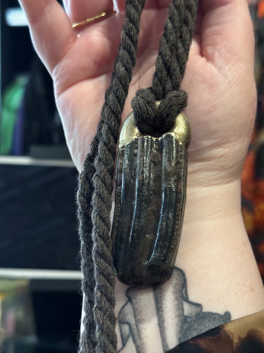 Ancient Horse Tooth Talisman Necklace by Become Spellbound