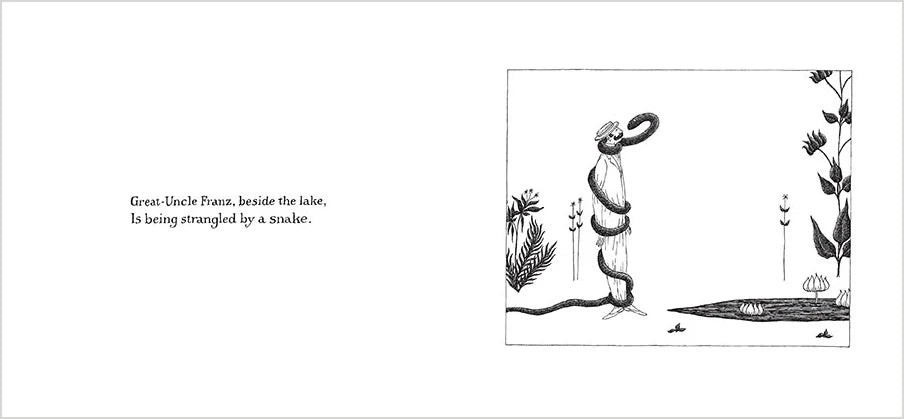 The Evil Garden by Edward Gorey (Hardcover)