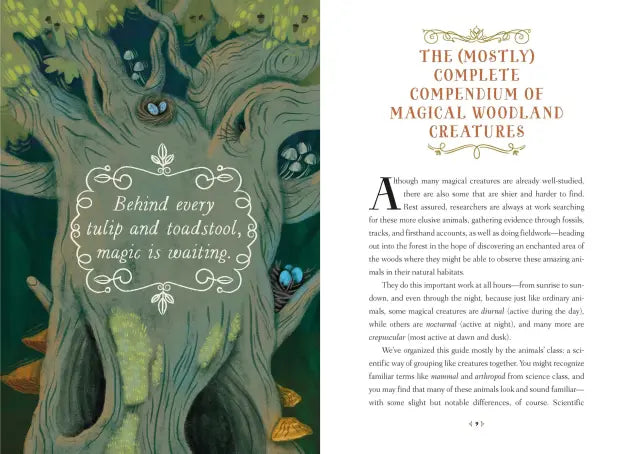 How To Spot A Magical Woodland Creature by Sarah Glenn Marsh (Hardcover)