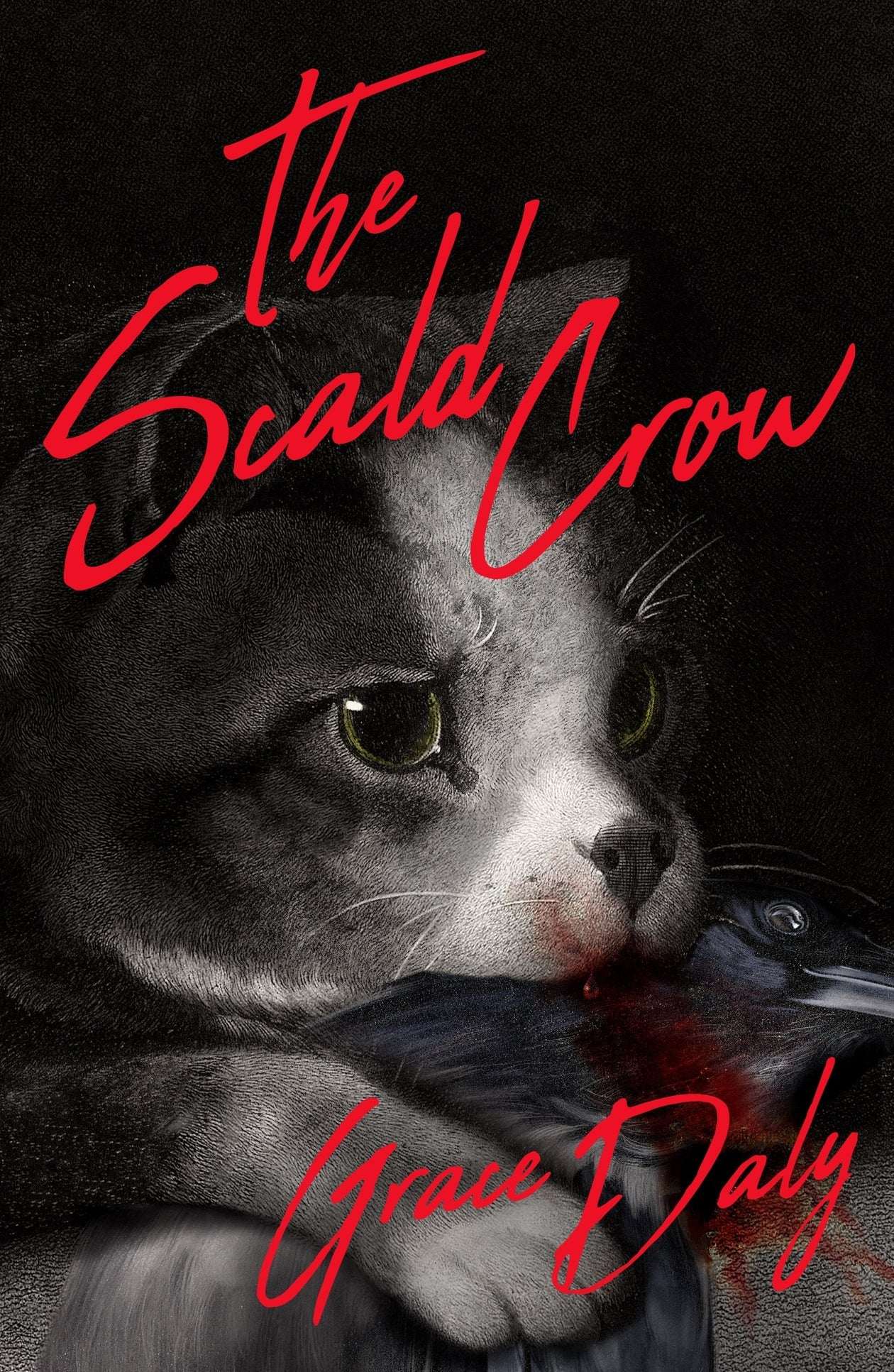 The Scald Crow by Grace Daly (Paperback)