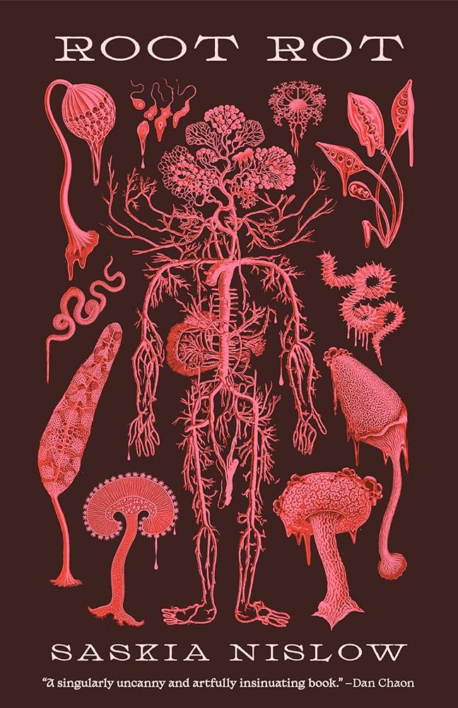 Root Rot by Saskia Nislow (Paperback)