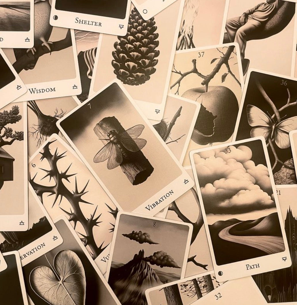Echoes of the Wood Oracle Deck