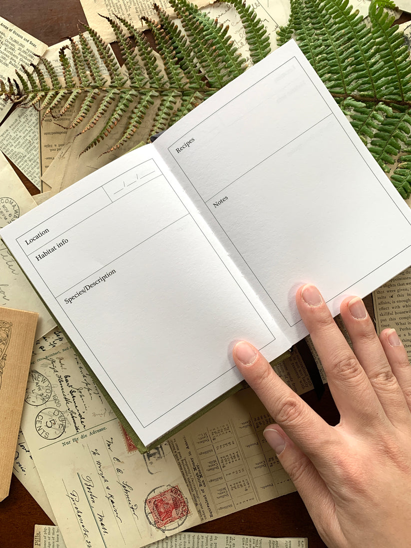 The Antiquarian Collection - The Forage Field Journal