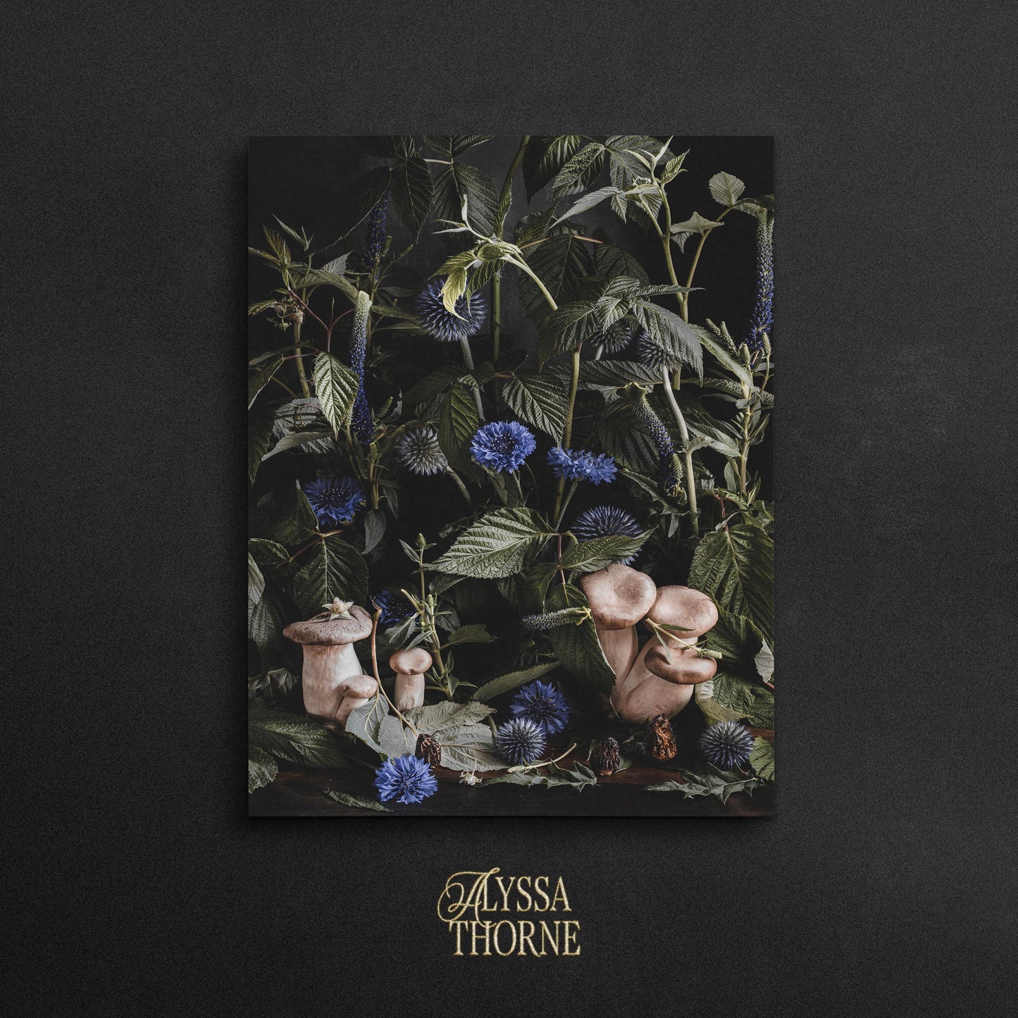 Shop the Collection: Alyssa Thorne Lux Art Cards