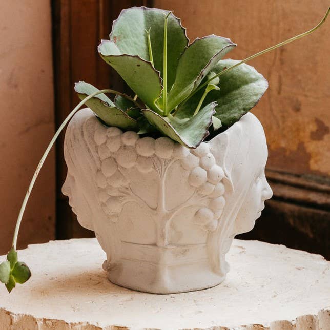 Astral Twins Planter in Slate White