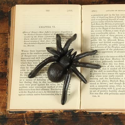 Cast Iron Spider Wall Hanger/Paperweight