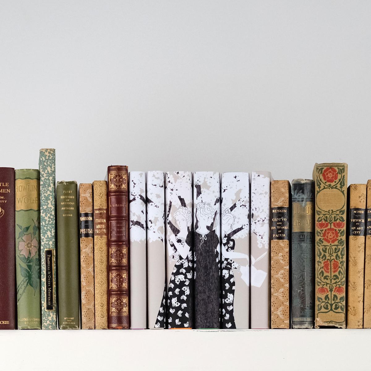 Obvious State - Brontë Sisters Arcturus Book Set