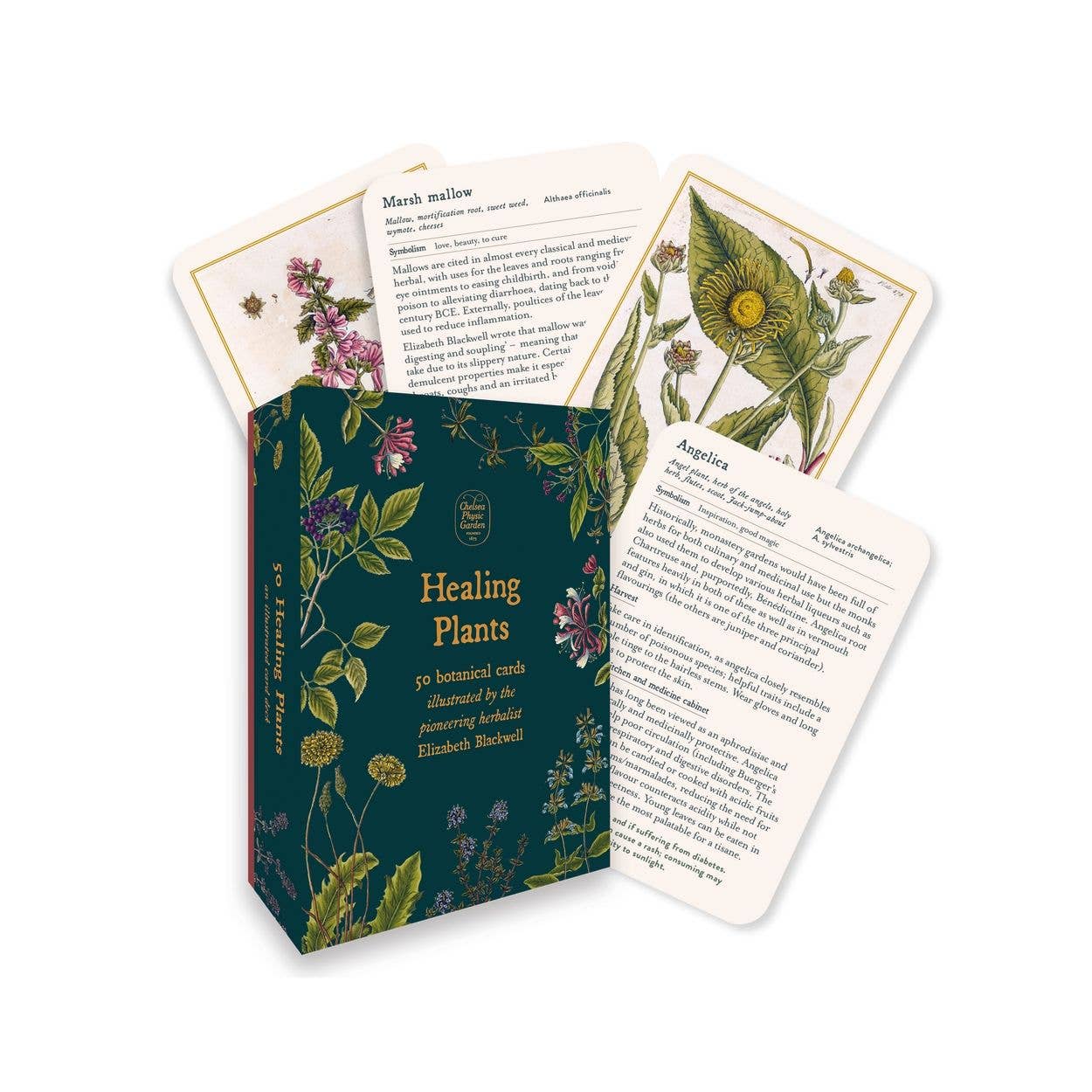 Healing Plants Botanical Cards by Elizabeth Blackwell