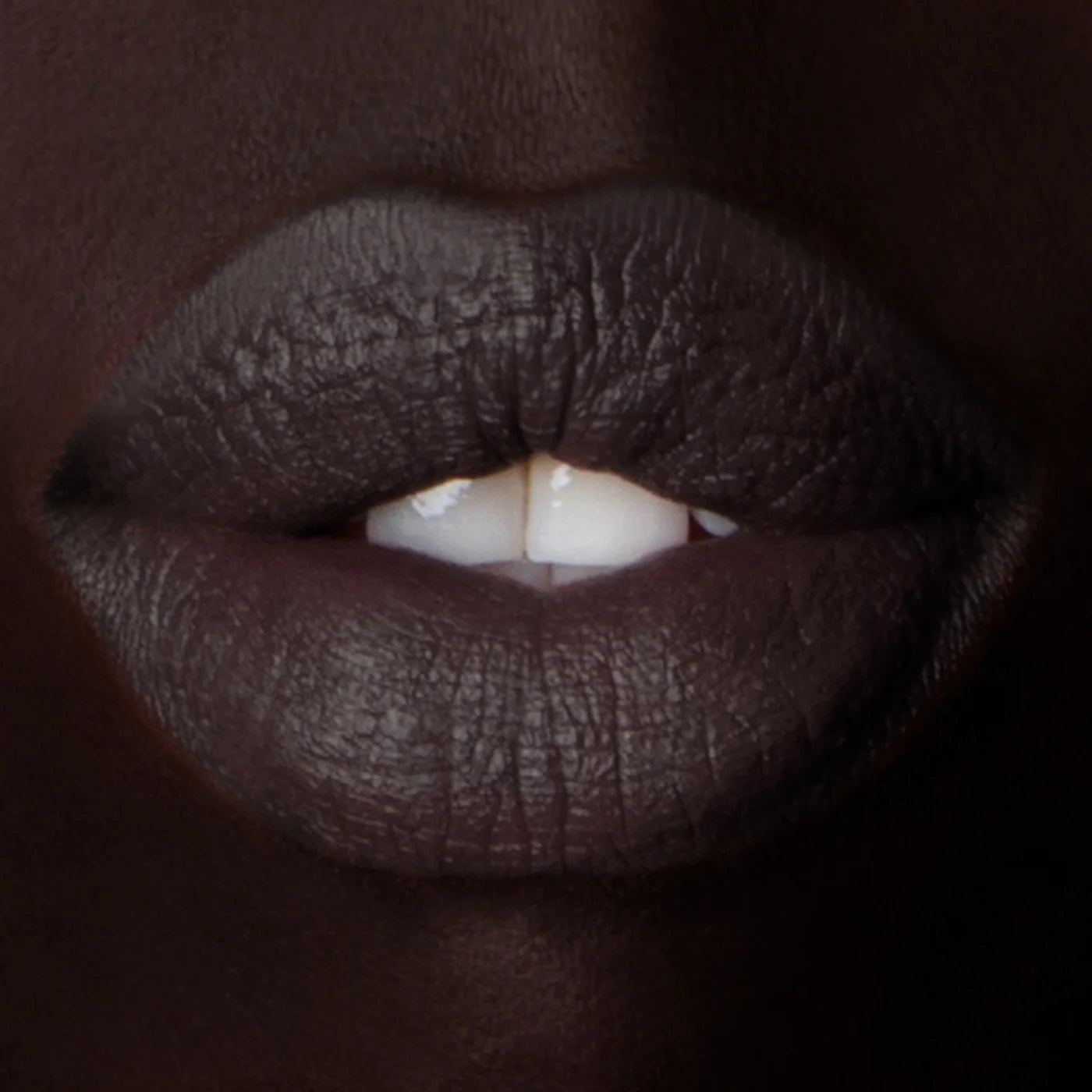 Enchanted Lip Sheer: Black Locust