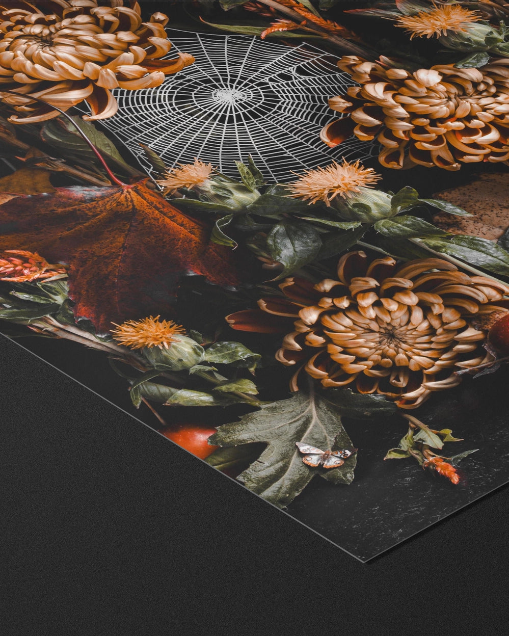 Shop the Collection: Alyssa Thorne Autumnal Prints