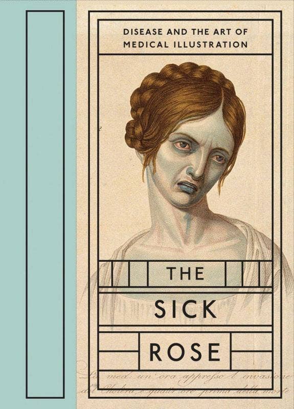 The Sick Rose: Disease and the Art of Medical Illustration (Hardcover)