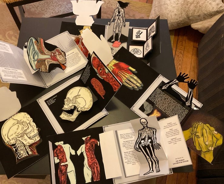 Handmade Pop-Up Book: My Anatomical Journal: Notes from the Body in the 21st Century