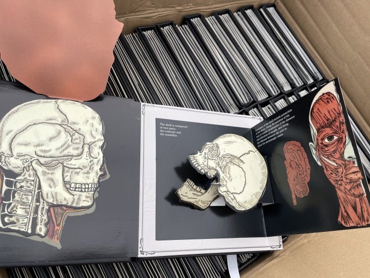 Handmade Pop-Up Book: My Anatomical Journal: Notes from the Body in the 21st Century