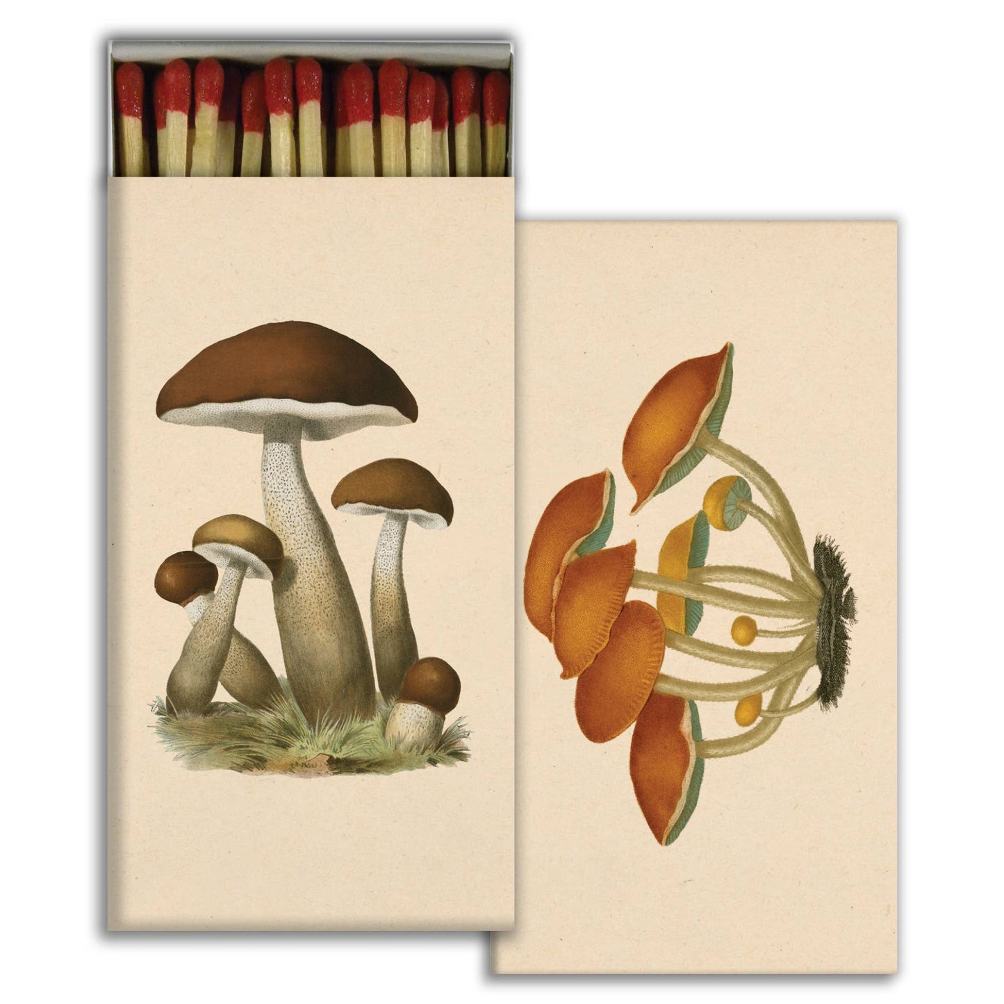 Matches - Mushrooms - Nocturne LLC