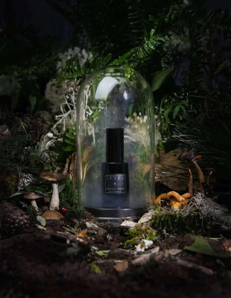 Lvnea Perfume