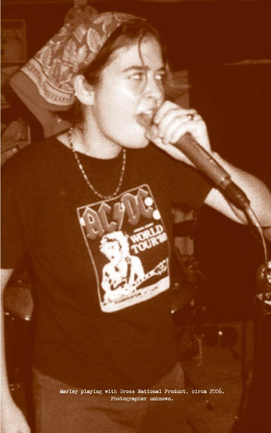 Crate Digger: An Obsession with Punk Records