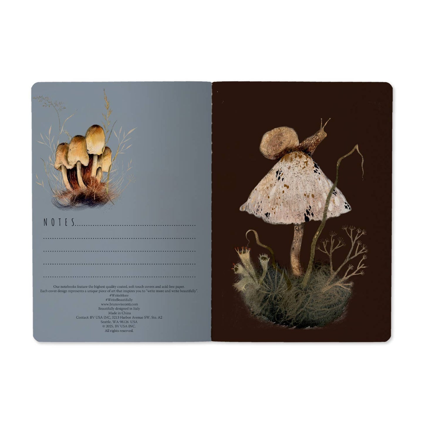 Mushroom Dream Notebook