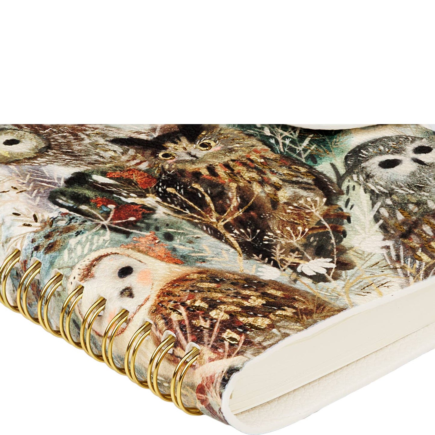 Owls Snap-Close Diary
