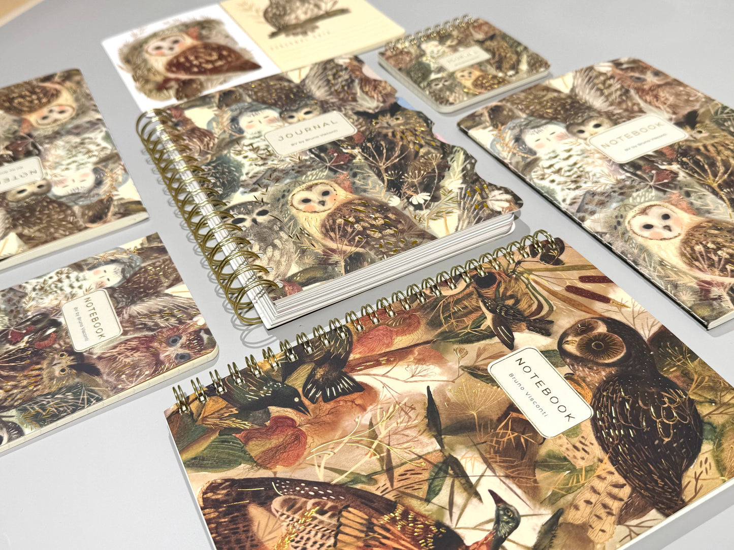 Owls Notebook