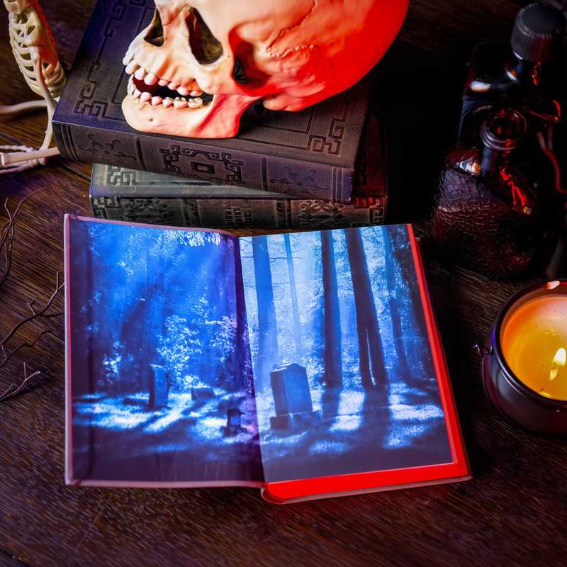 Classic Horror Tales (Canterbury Classics Softcover)