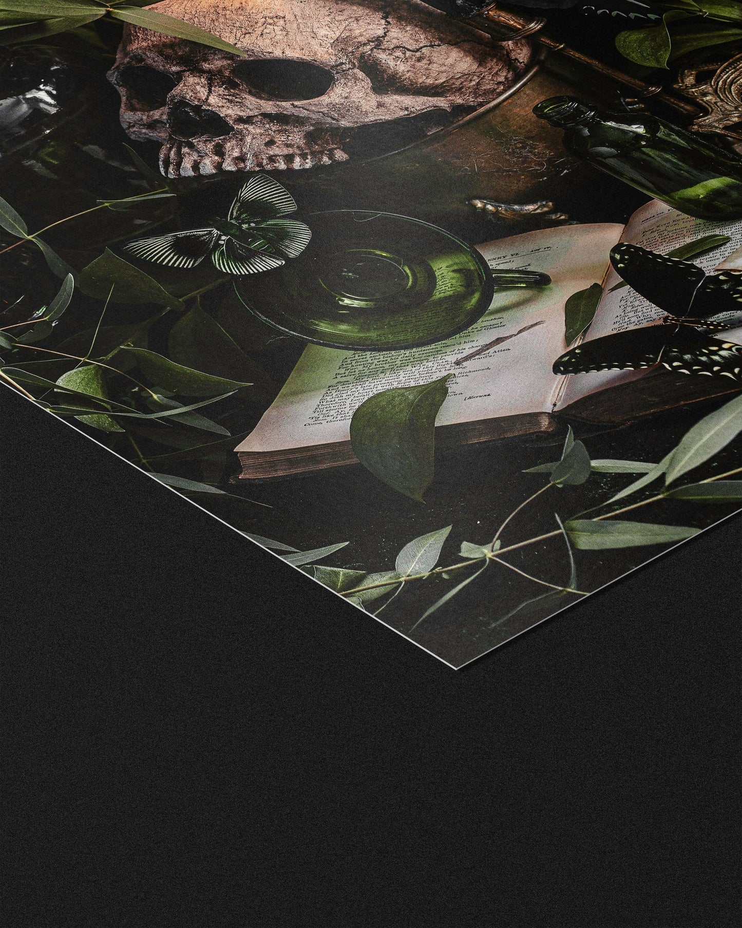 Poison Study Fine Art Print by Alyssa Thorne