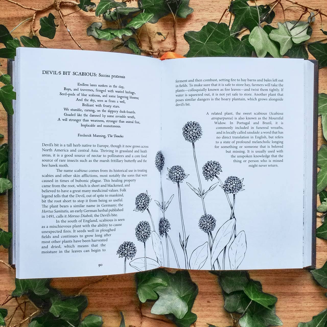 Botanical Curses and Poisons by Fen Inkwright (Hardcover)