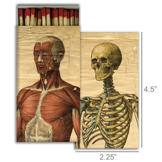 Matches - Muscle Man & Skeleton