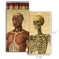 Matches - Muscle Man & Skeleton
