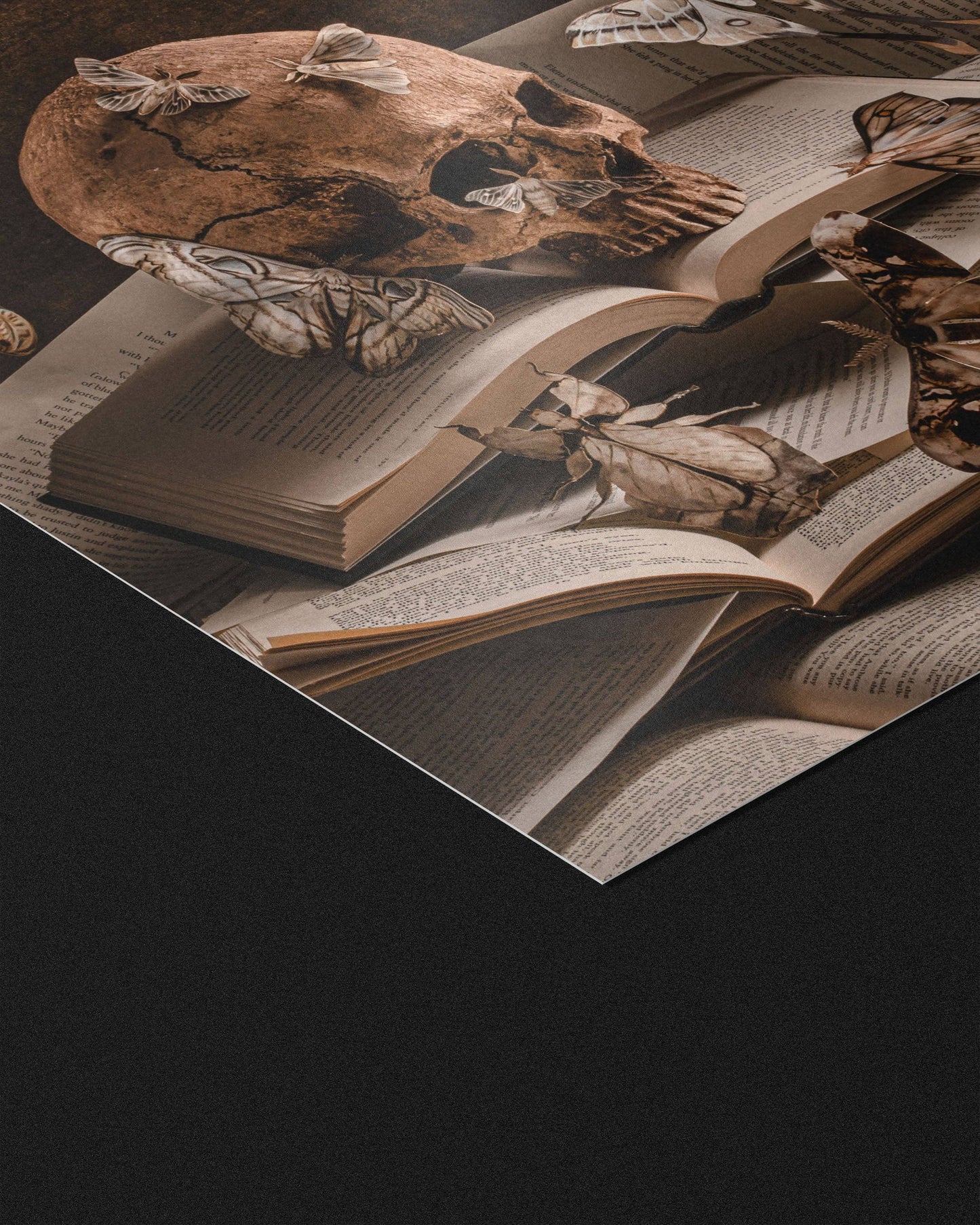Bury Me In The Library Fine Art Print by Alyssa Thorne