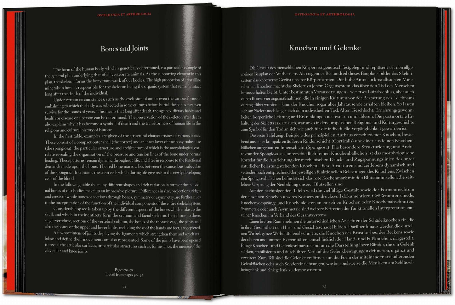 Anatomical Waxes. 45th Ed. (German, French, English)