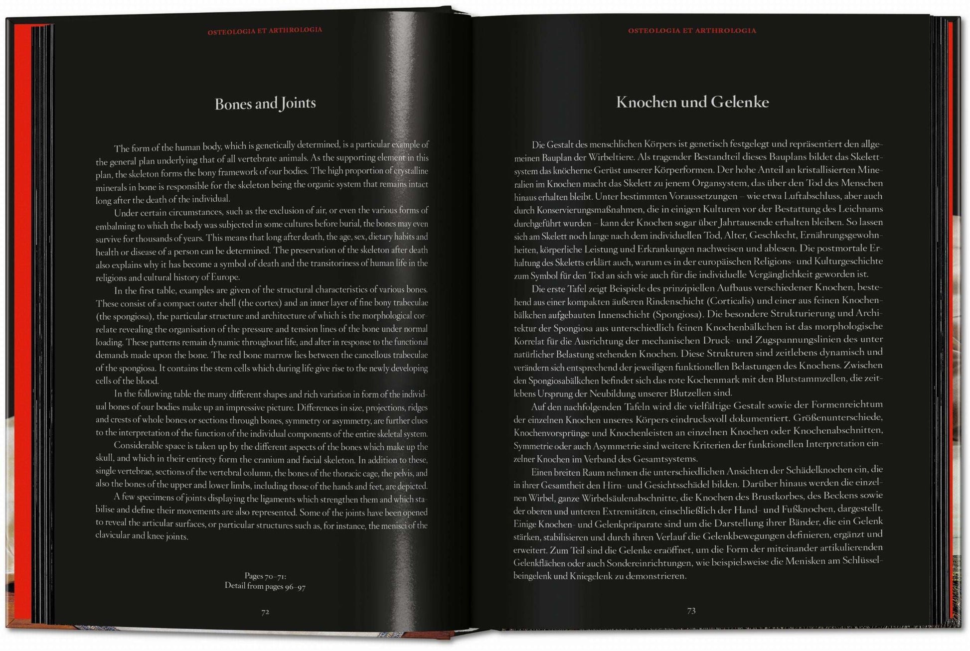 Anatomical Waxes. 45th Ed. (German, French, English)