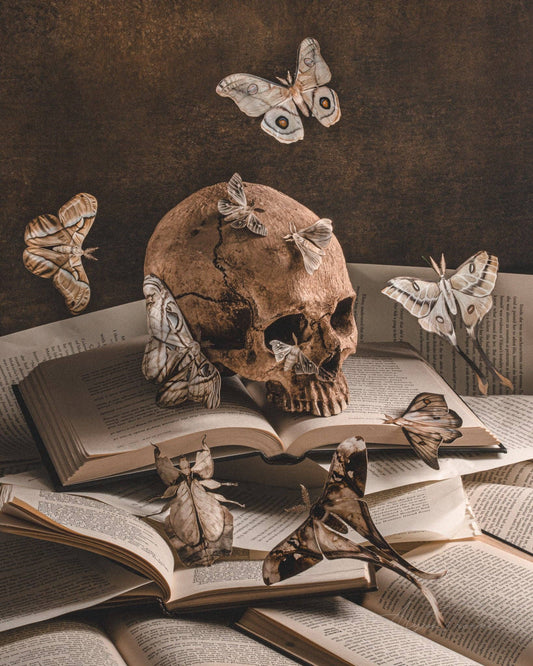 Bury Me In The Library Fine Art Print by Alyssa Thorne