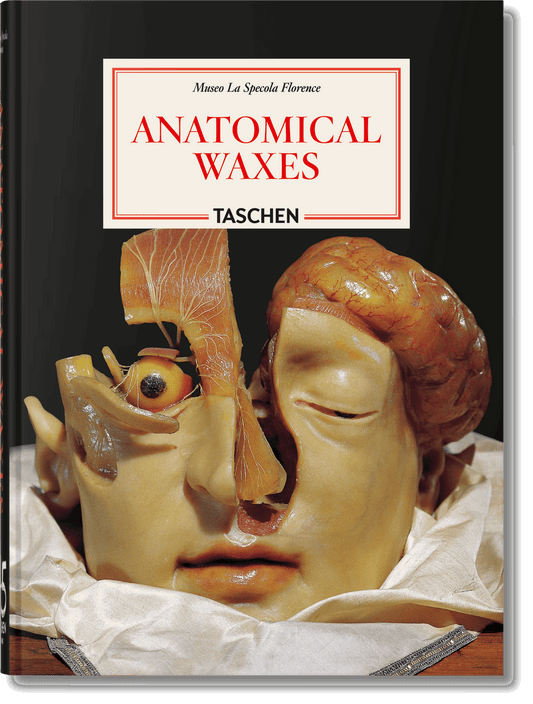 Anatomical Waxes. 45th Ed. (German, French, English)