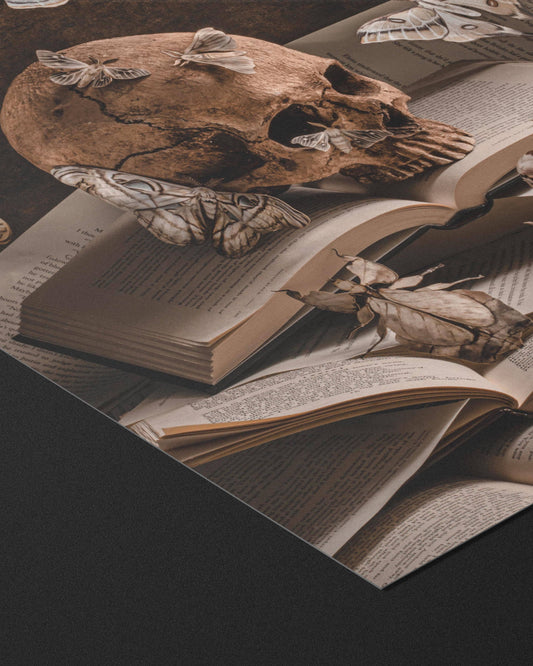 Bury Me In The Library Fine Art Print by Alyssa Thorne