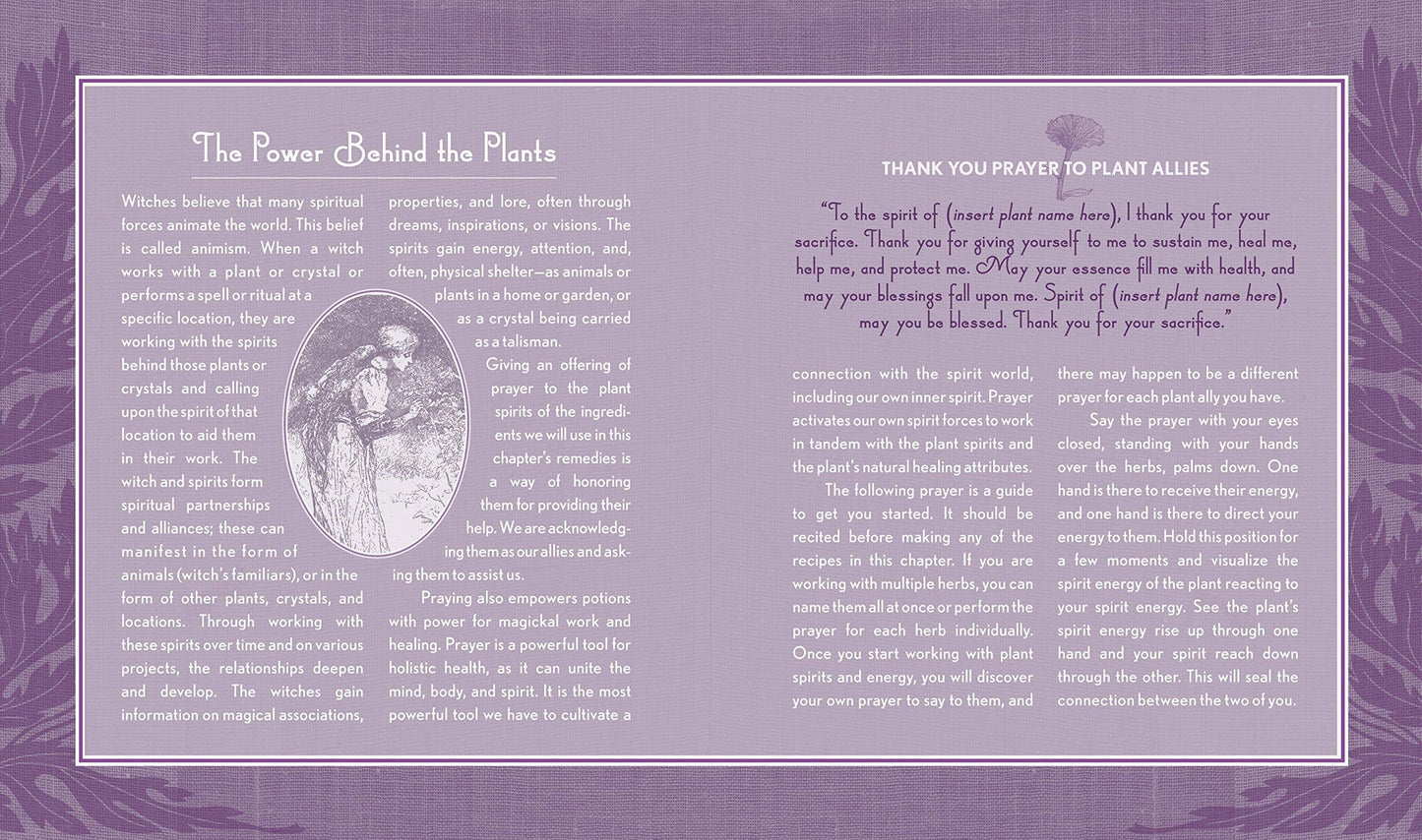 The Good Witch's Guide by Shawn Robbins (Hardcover)