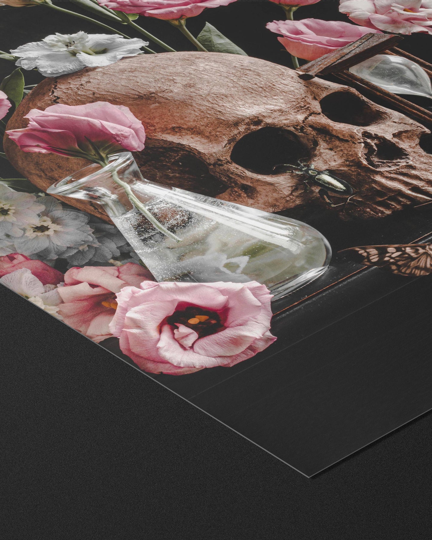 Vanitas I Fine Art Print by Alyssa Thorne